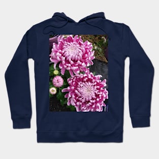 Chrysanthemum Flower Pink Hoodie